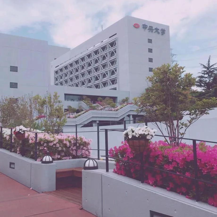 日本中央大学