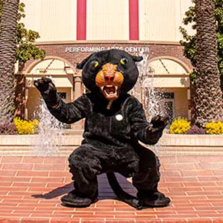 萨克拉门托城市学院