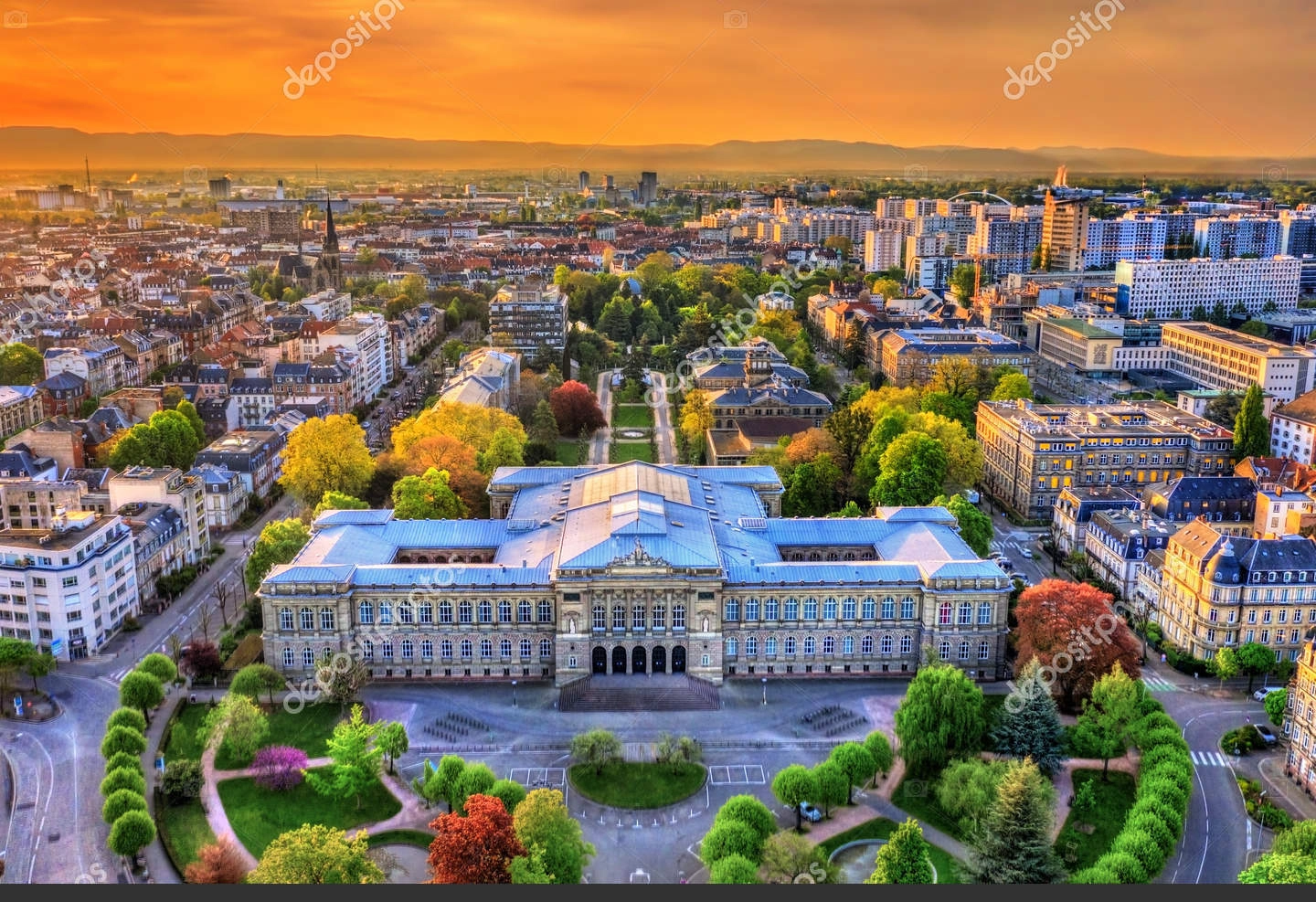 斯特拉斯堡大学