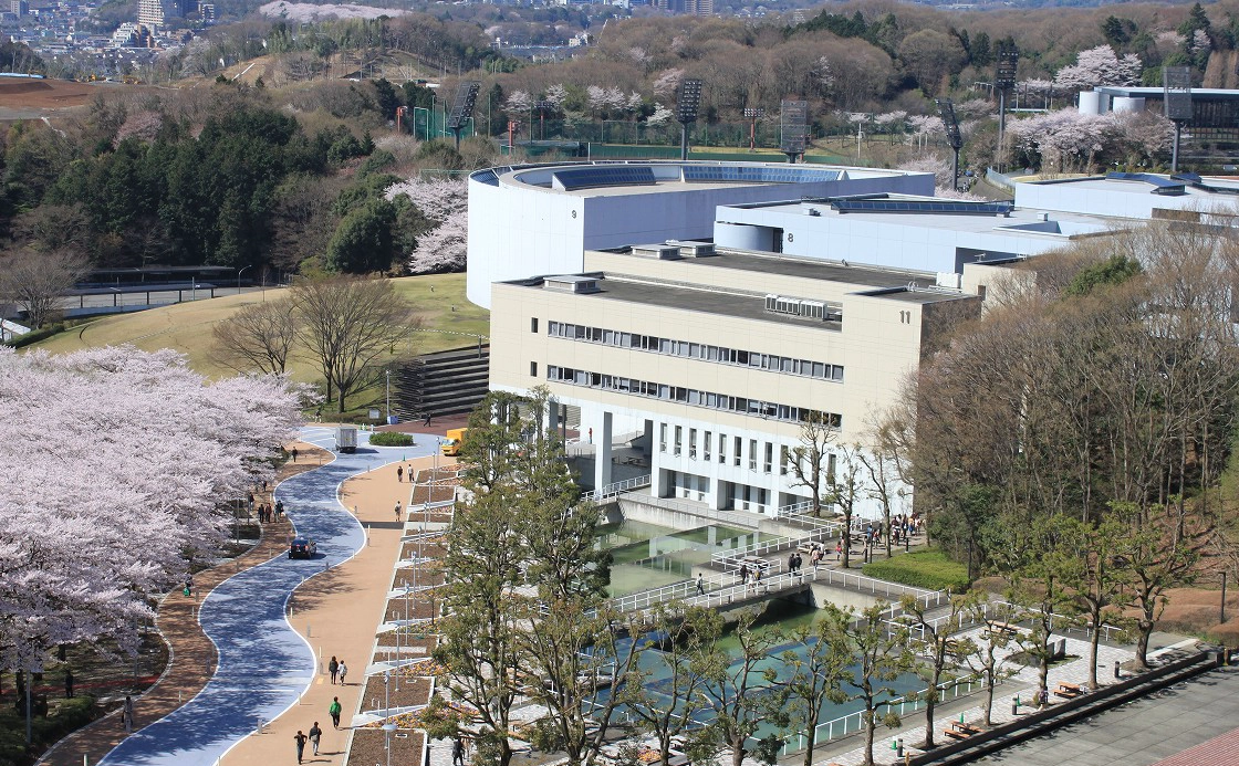 日本中央大学