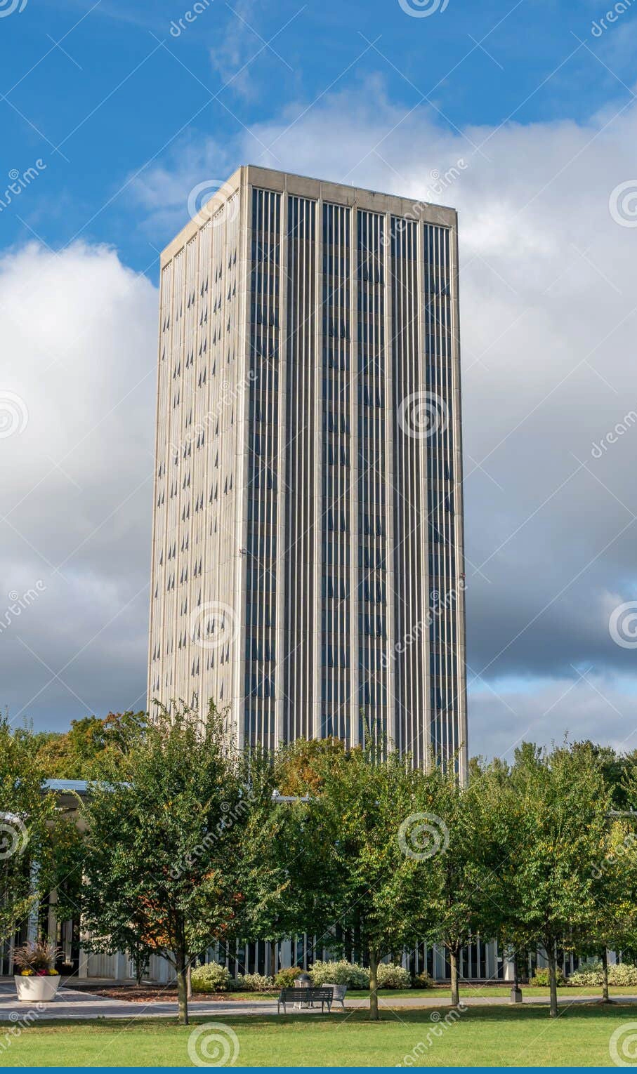 纽约州立大学奥尔巴尼分校