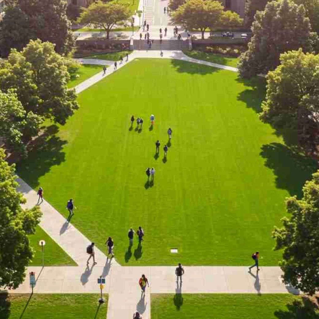 加州大学戴维斯分校