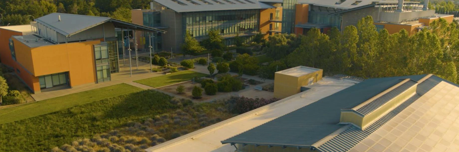 加州大学戴维斯分校