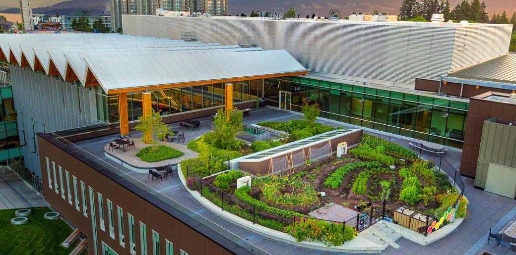 不列颠哥伦比亚大学