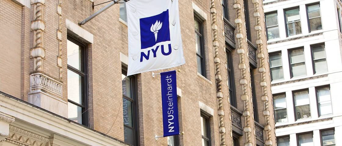 纽约大学