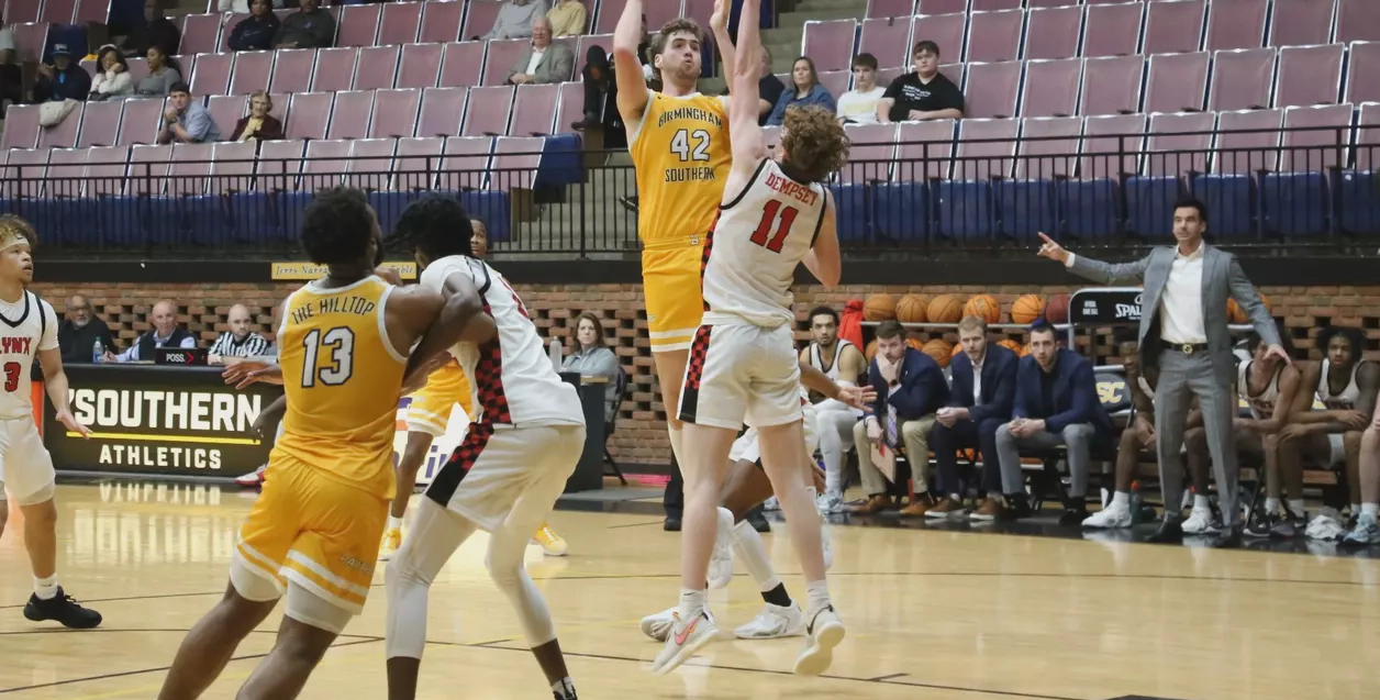 伯明翰大学学院