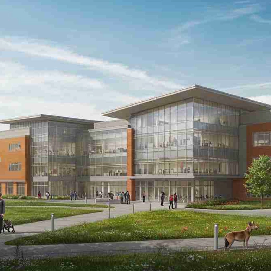 卡拉拉美术学院