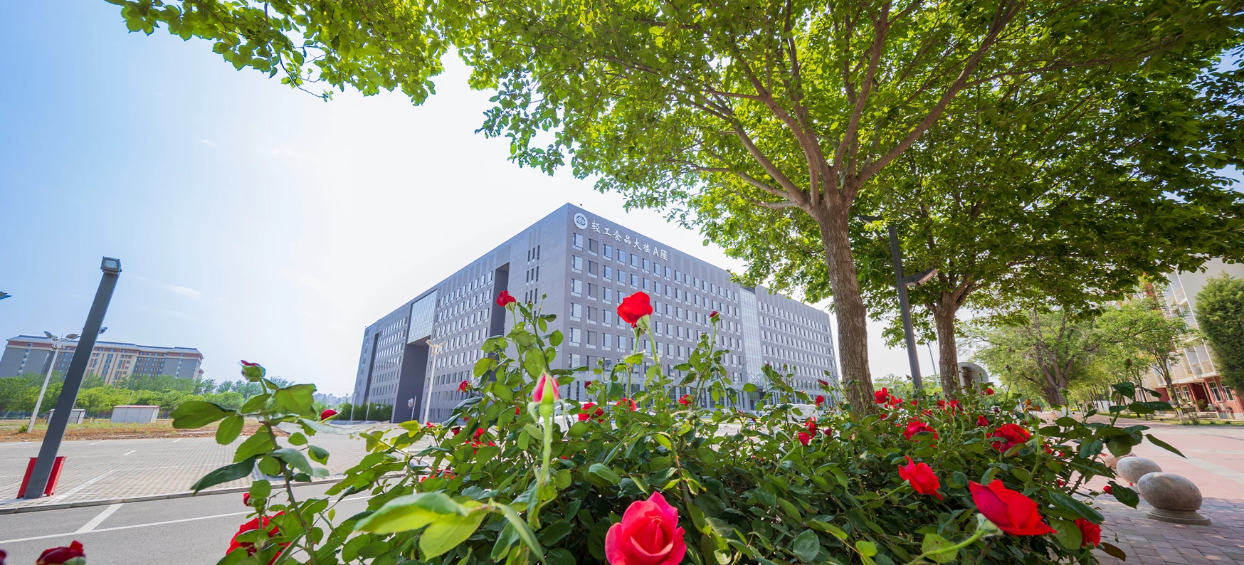 中华高级商工职业学校