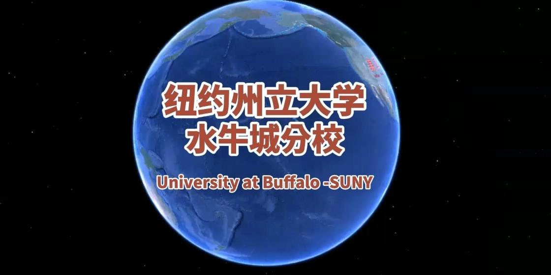 纽约州立大学水牛城分校