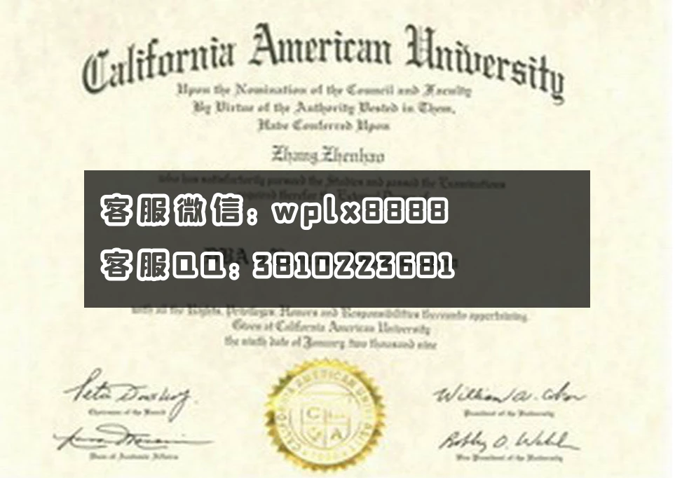 加州美国大学California American University