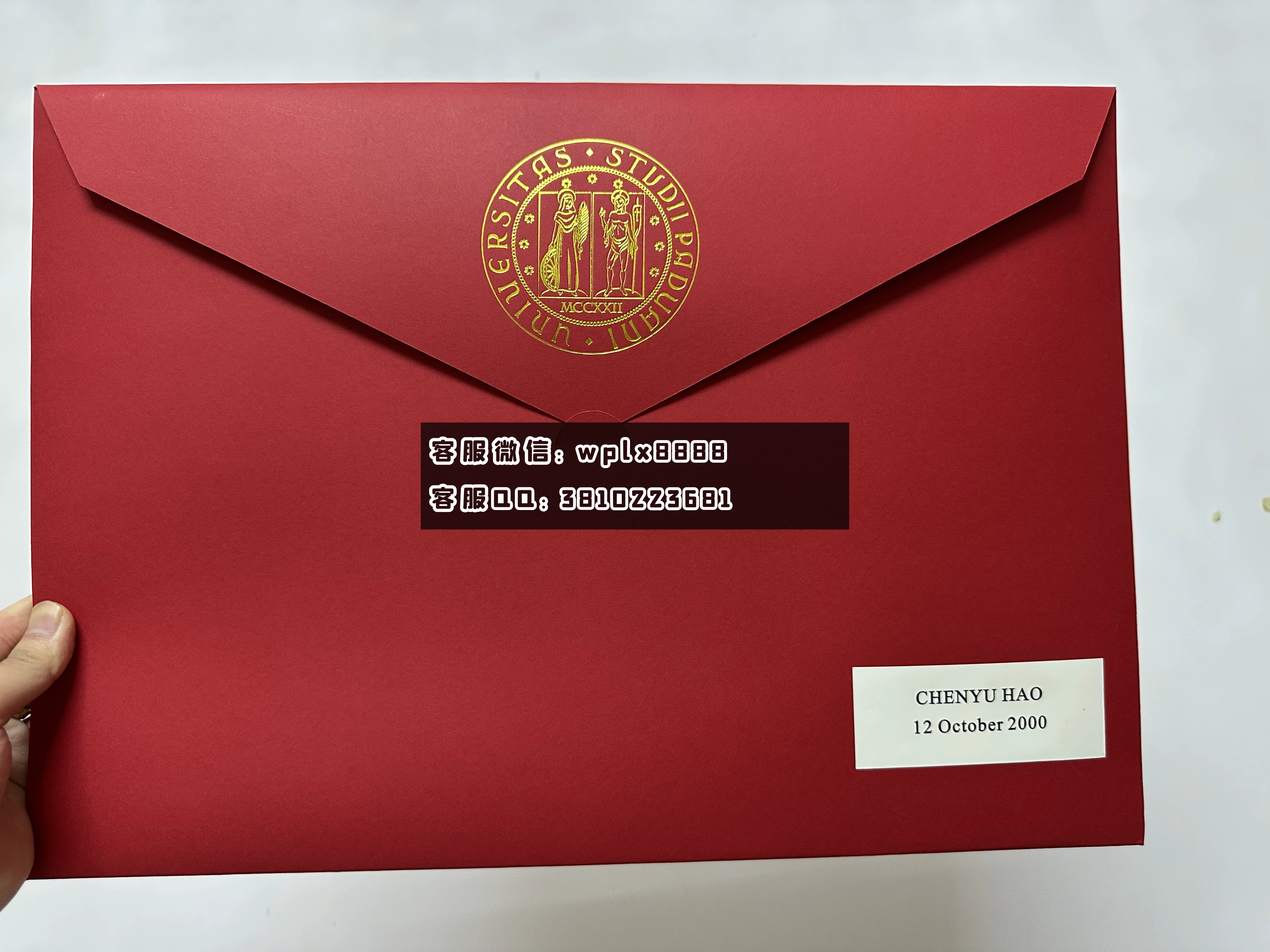 意大利帕多瓦大学外壳