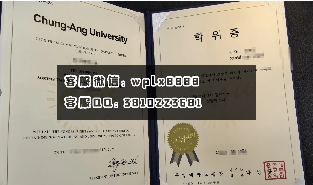 韩国中央大学双板