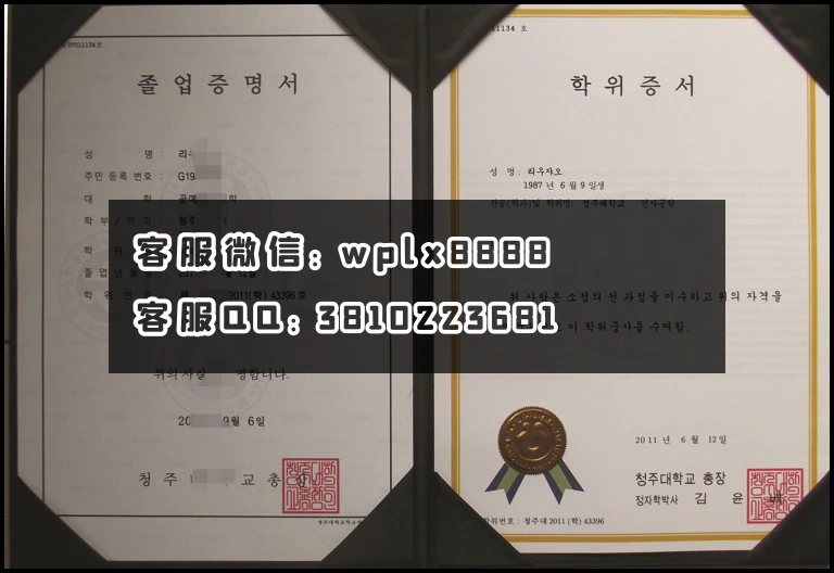 韩国清州大学文凭样本_副本 - 副本