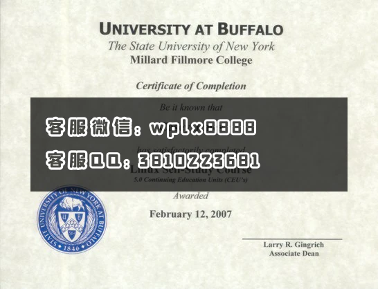 纽约州立大学水牛城分校(University at Buffalo
