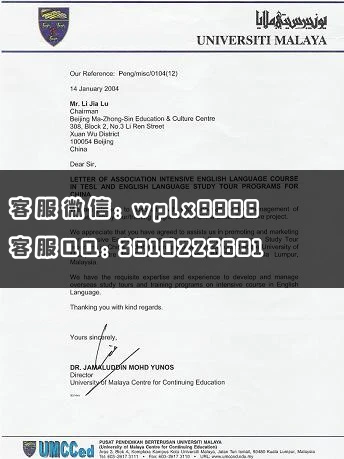 马来西亚大学University of Malaya