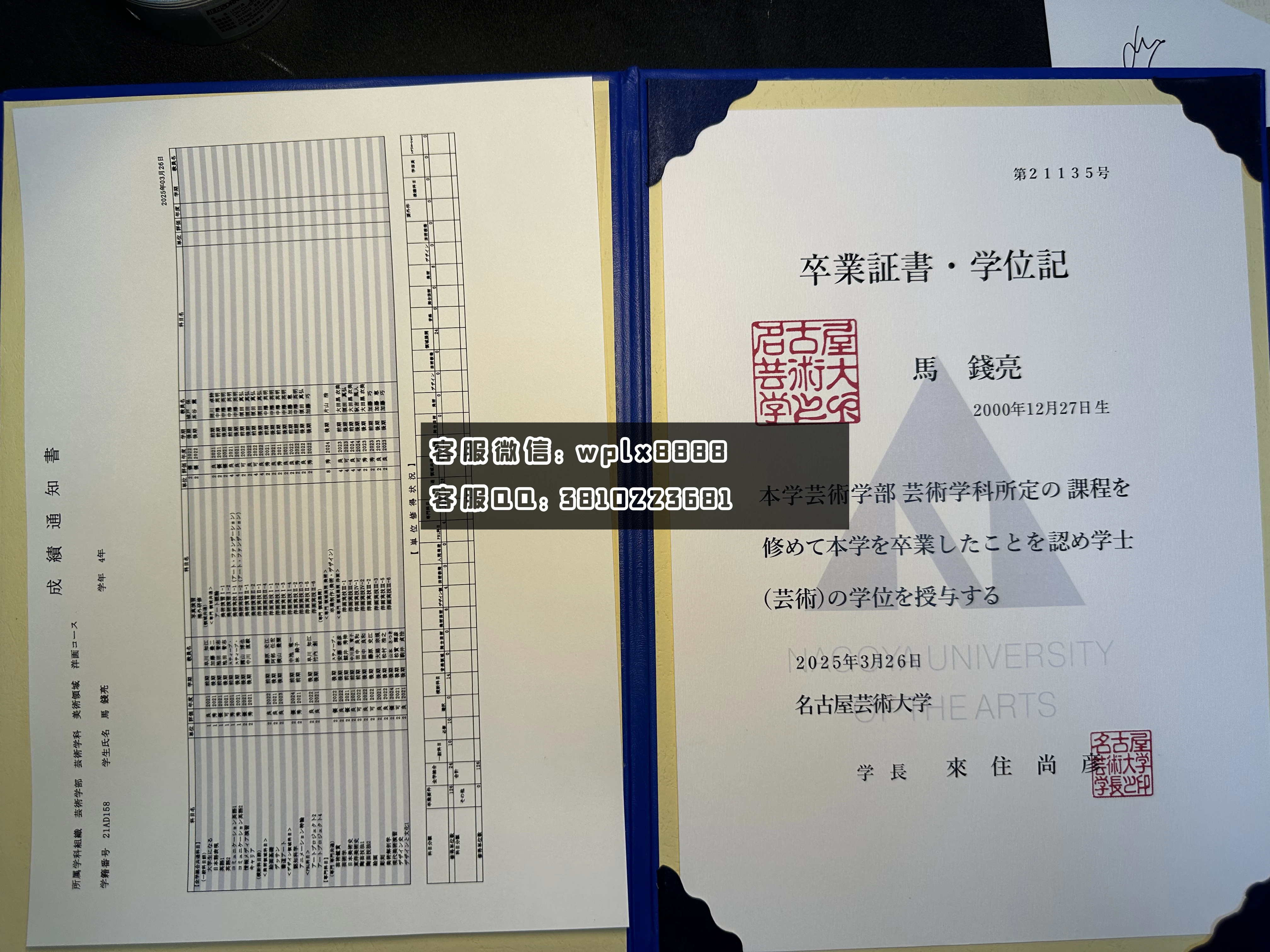 名古屋艺术大学C