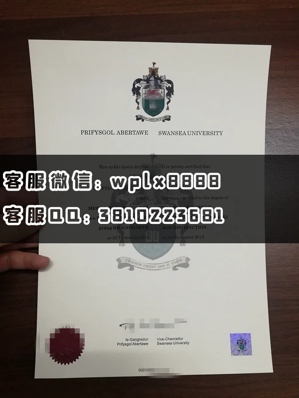 英国斯旺西大学毕业证1