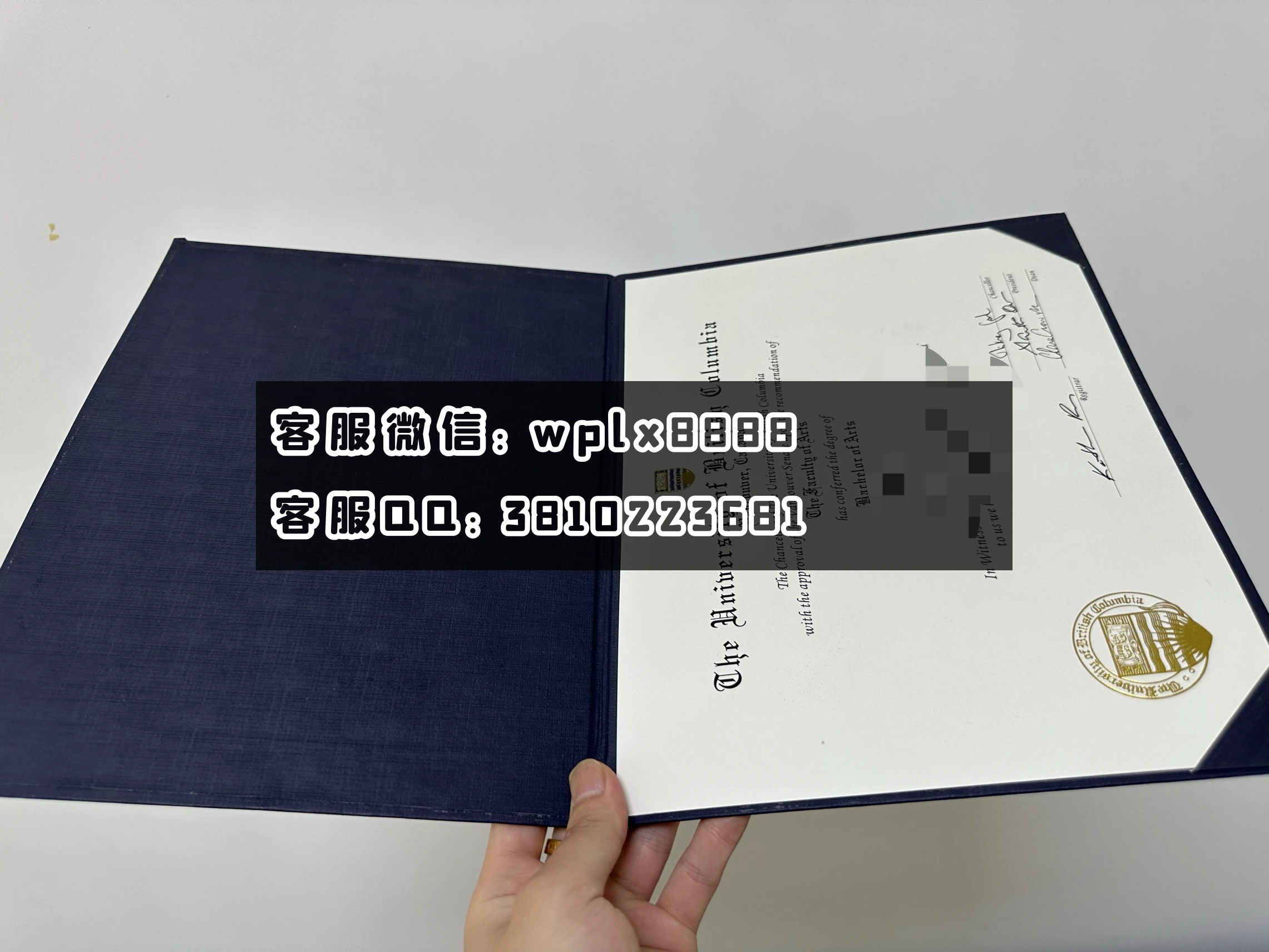 英属哥伦比亚大学1