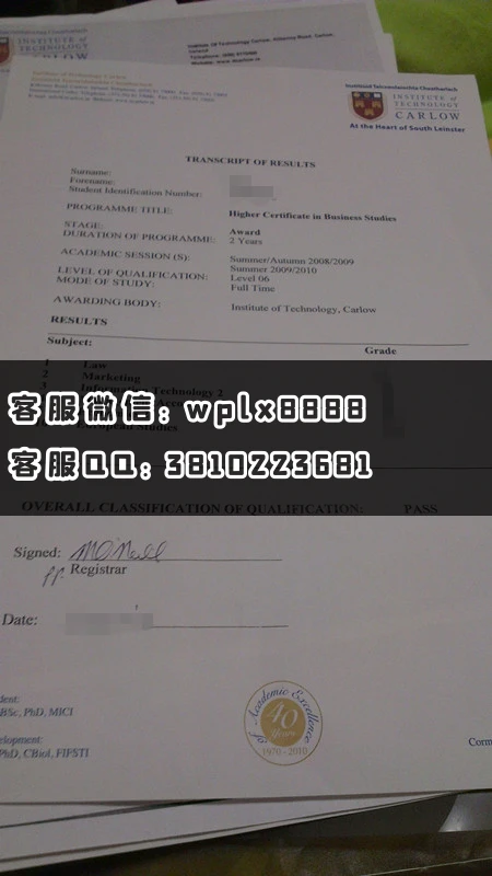 爱尔兰卡罗理工大学成绩单 (1)
