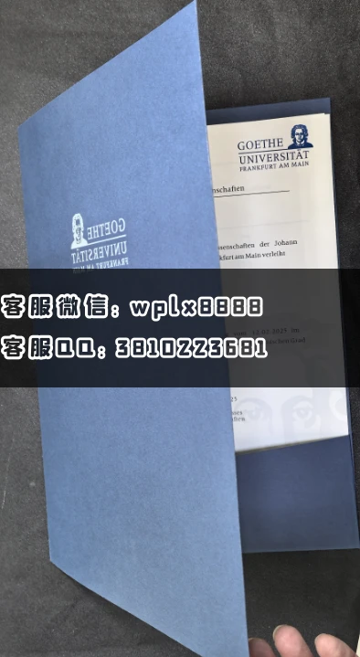 法兰克福大学内页