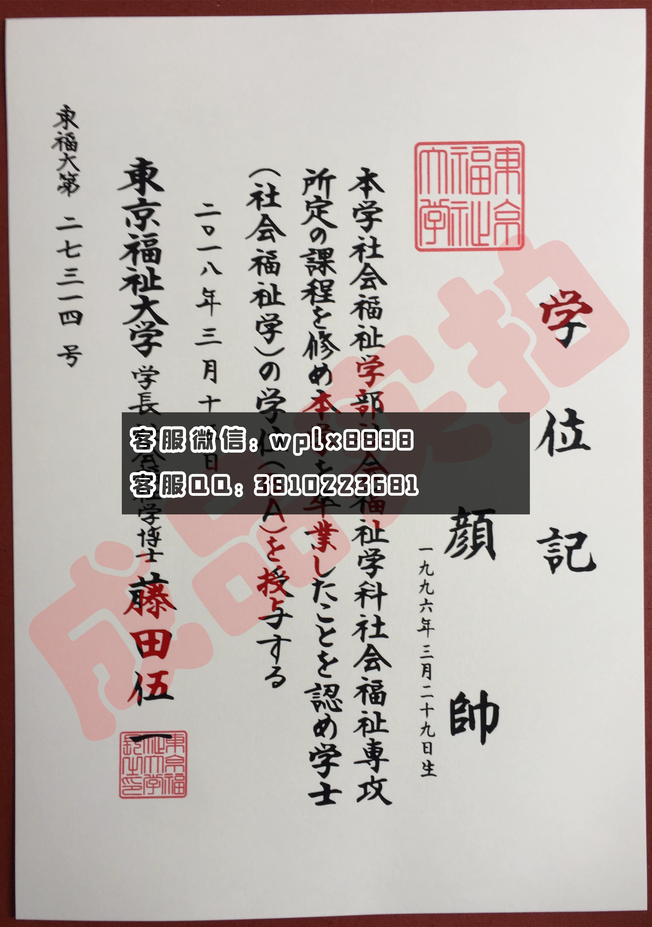 东京福祉大学 视频