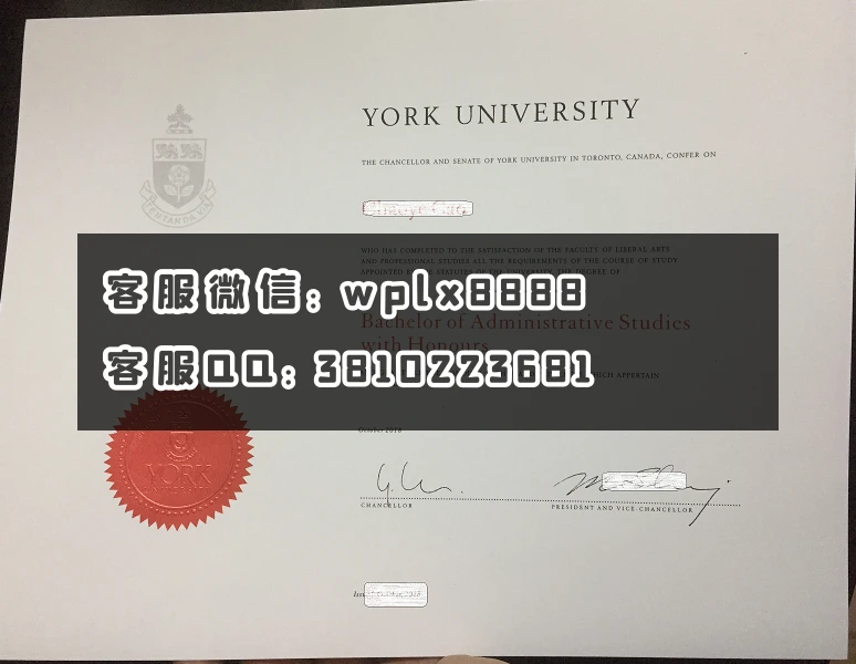 加拿大 约克大学