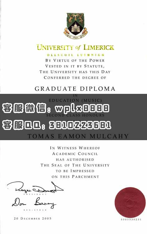 利默瑞克大学University of Limerick