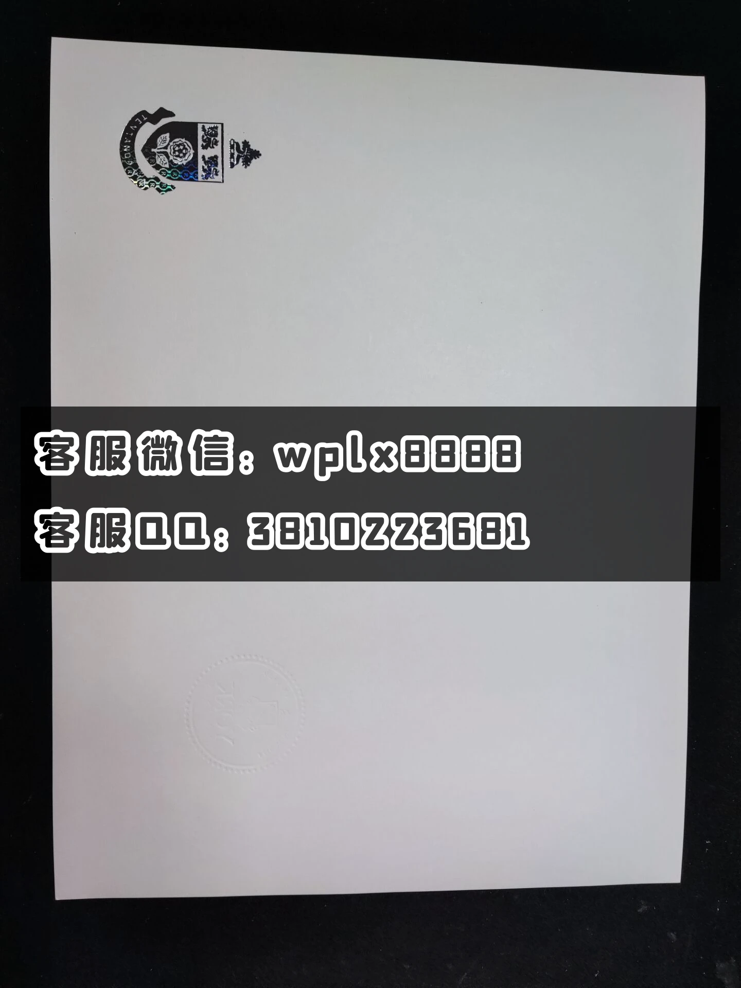 约克大学 背面镭射