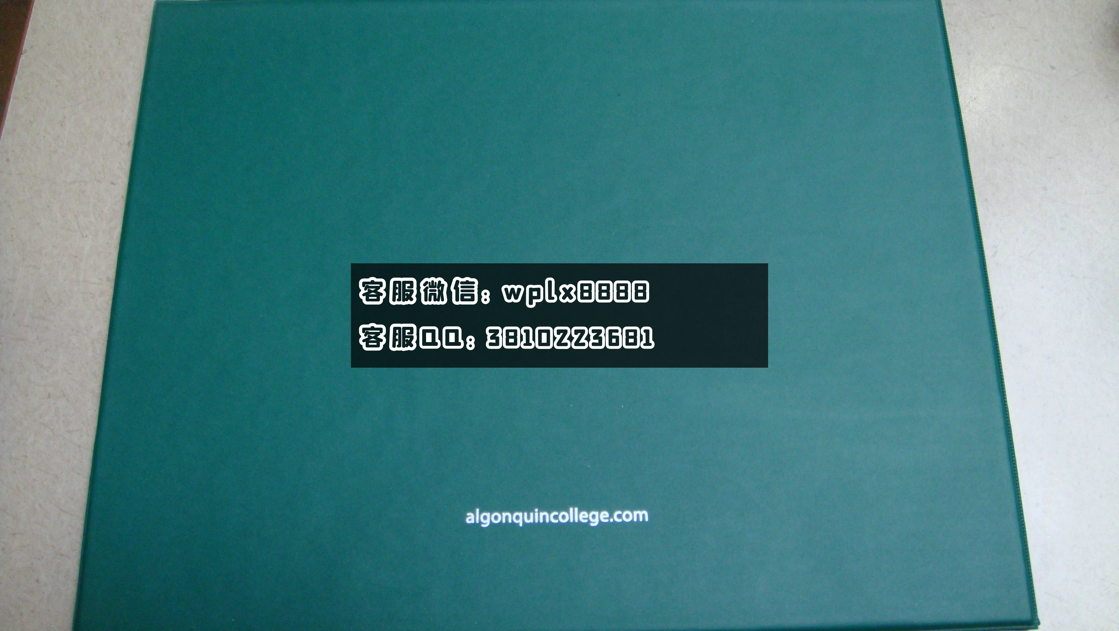 加拿大百年理工大学 (2)