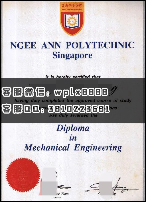 新加坡义安理工学院专科毕业证ngee ann polytechnic_副本