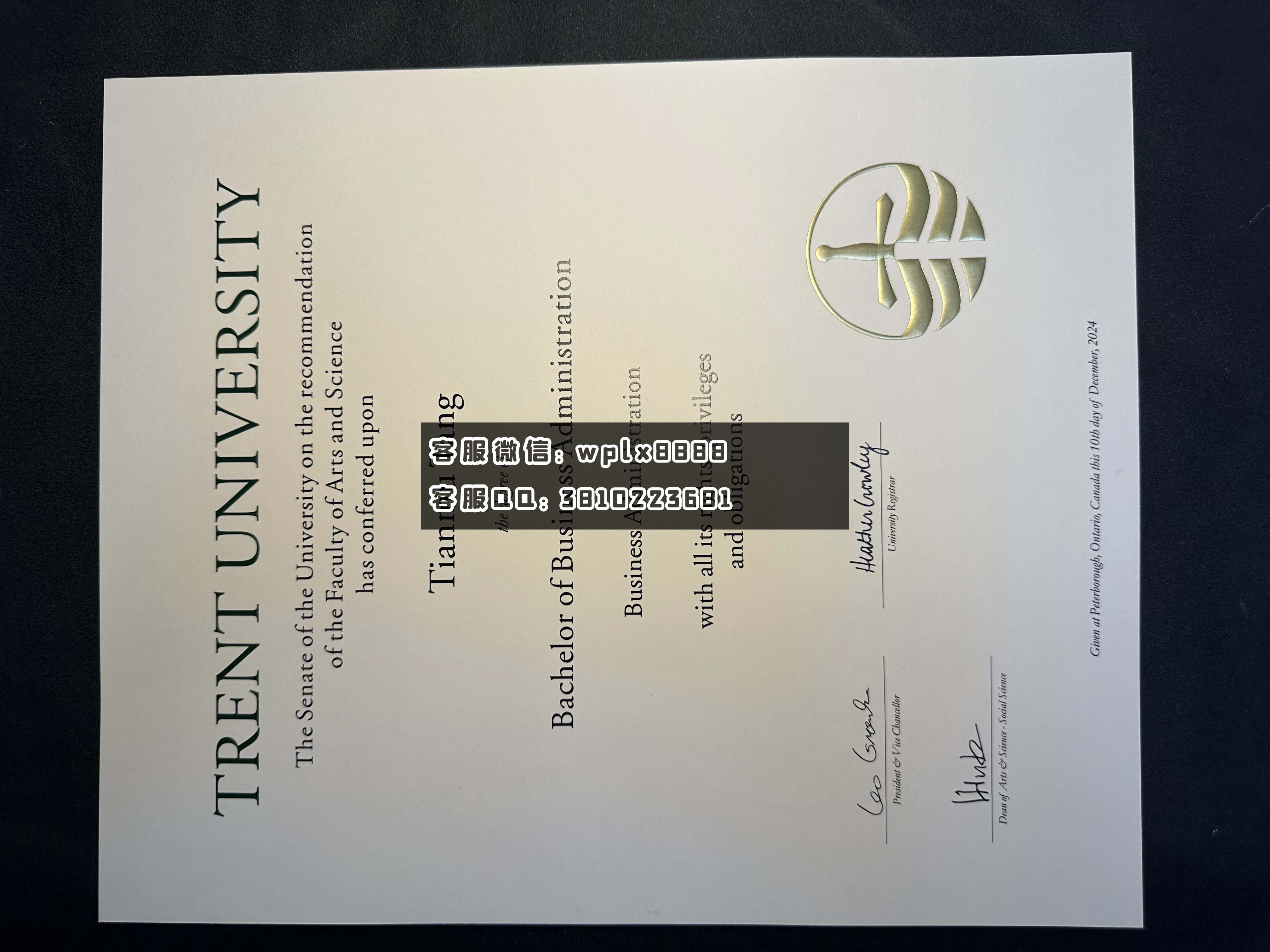 加拿大特伦特大学C1