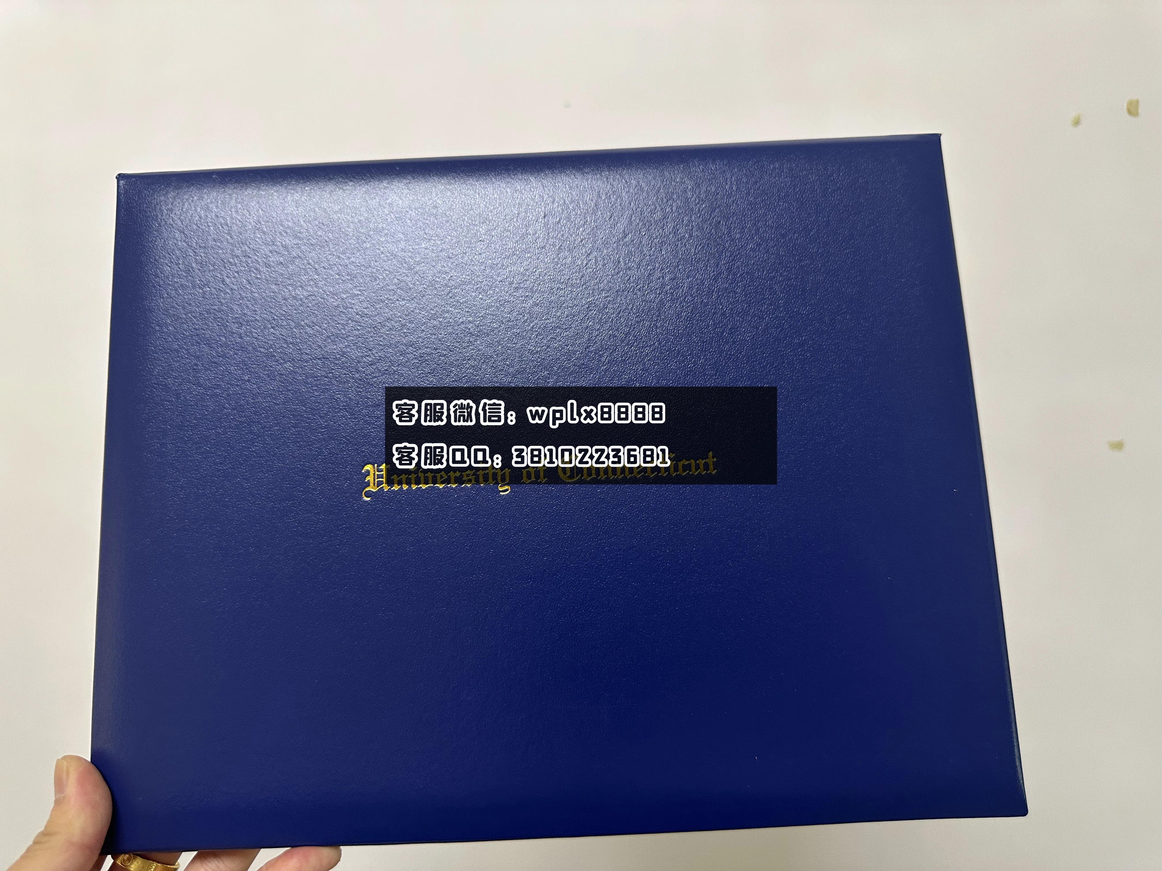 康涅狄格大学外壳