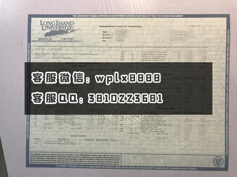 美国长岛大学成绩单1.JPG