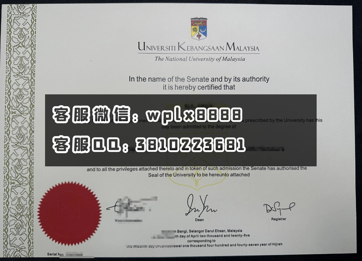 马来西亚国立大学C1