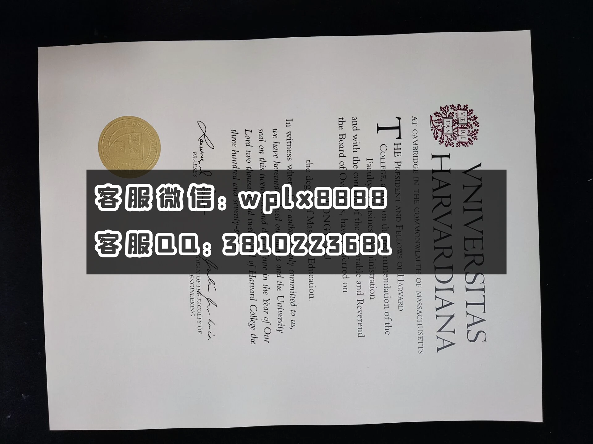 美国哈佛大学毕业证   成品