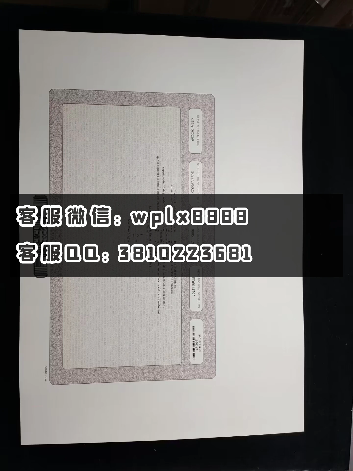 巴塞罗那自治大学成绩单 背面  成品 09041