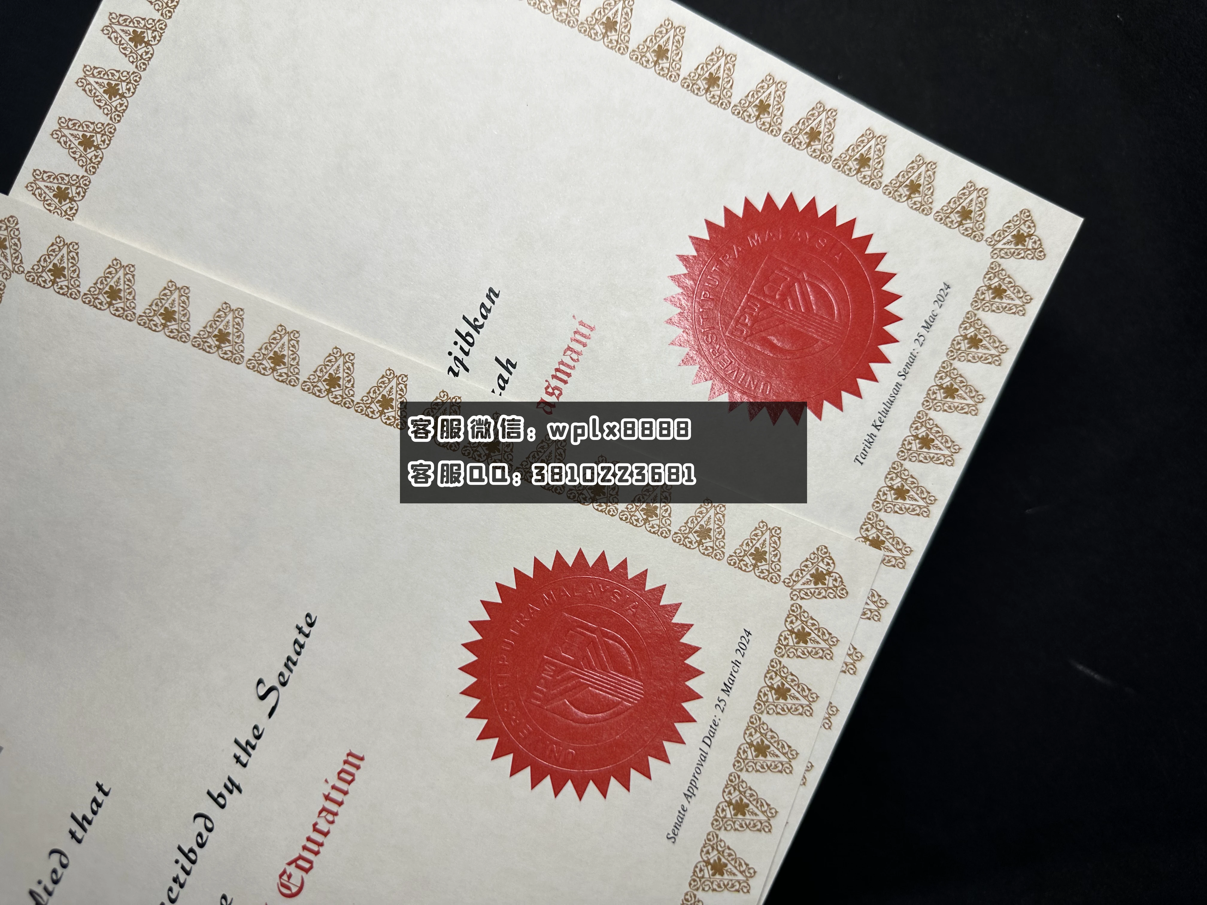 马来西亚博特拉大学C特写