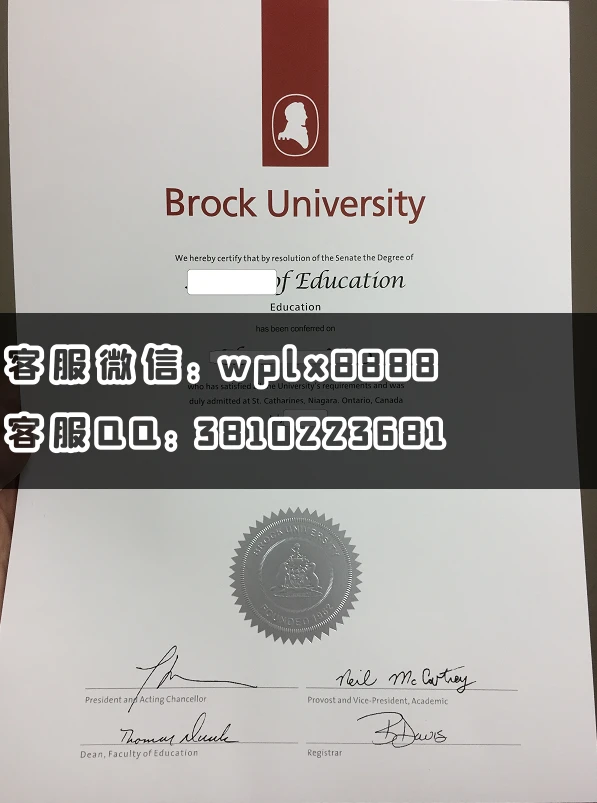 加拿大 布鲁克大学