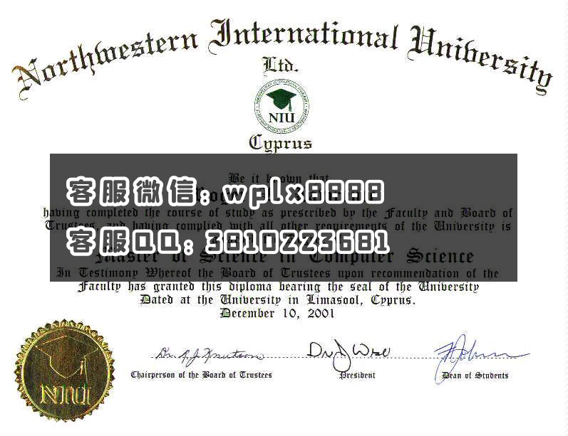 西北国际大学northwestern international university