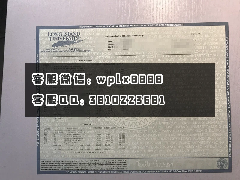 美国长岛大学成绩单2.JPG