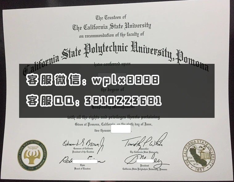 波莫纳加州理工大学毕业证 (1)