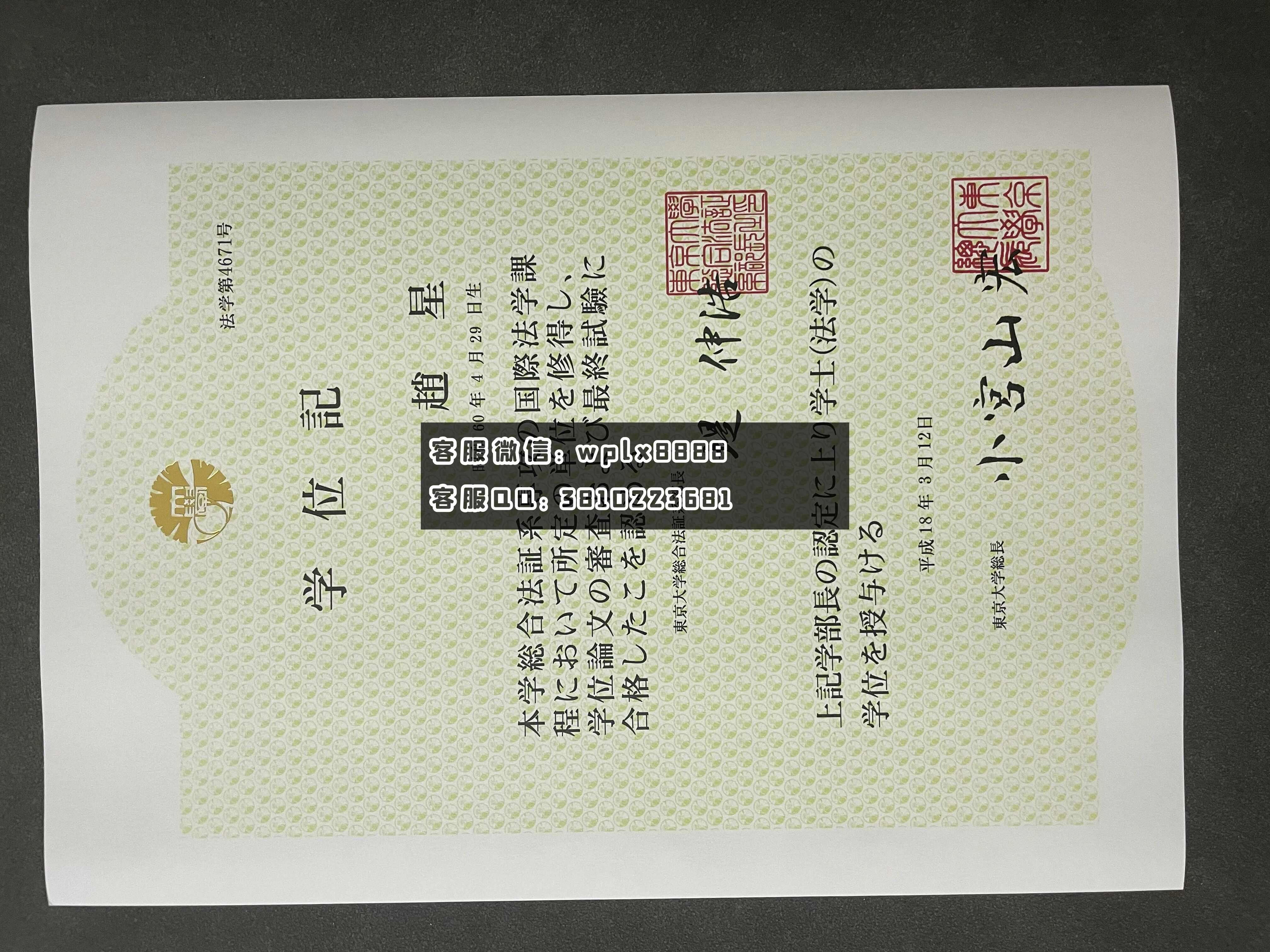 日本东京大学毕业证-学士本科样本  成品2