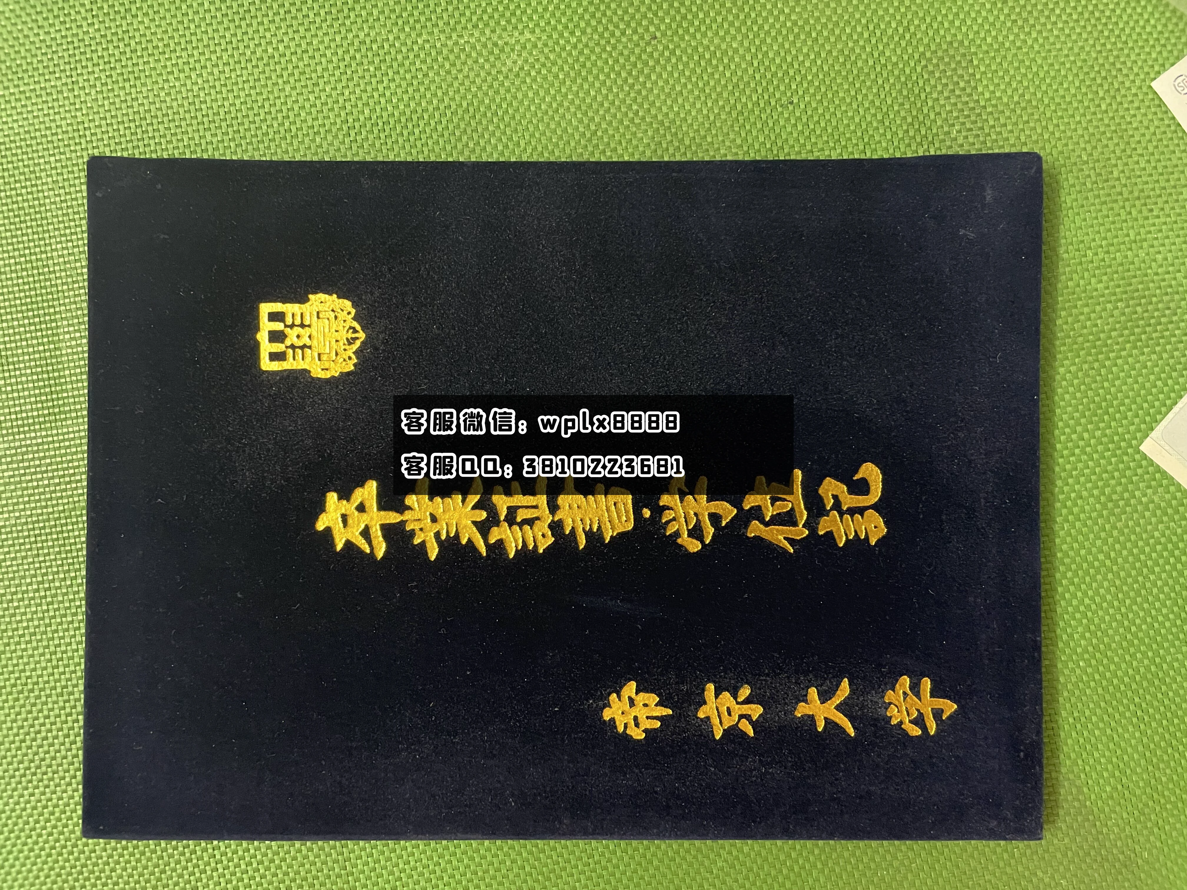 帝京大学壳子 成品