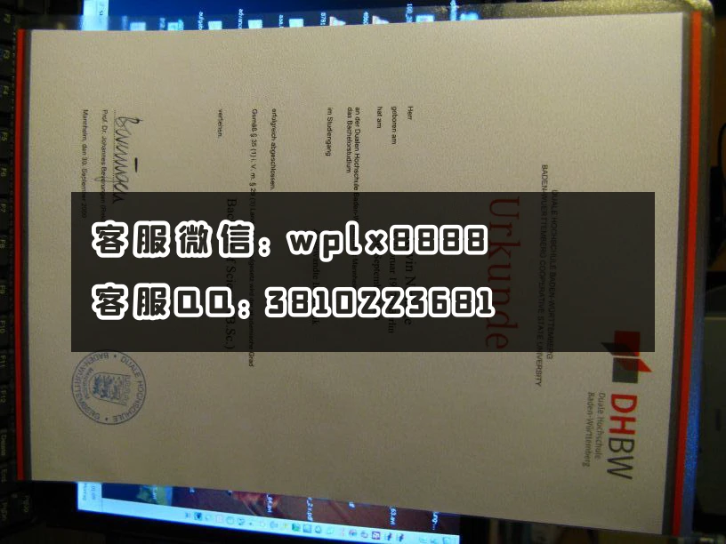 德国巴登符腾堡双元制应用技术大学(Duale Hochschule Baden- Württemberg)