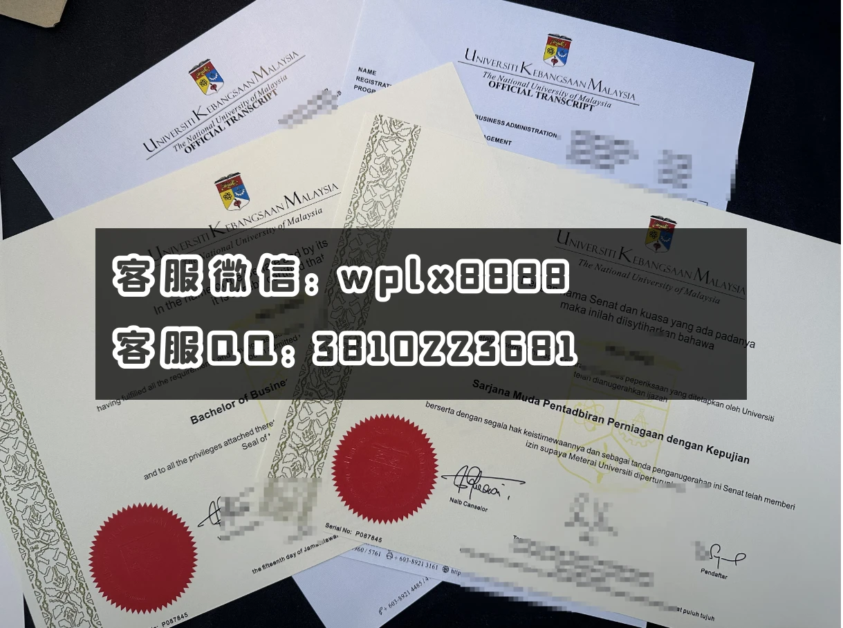 马来西亚国立大学C