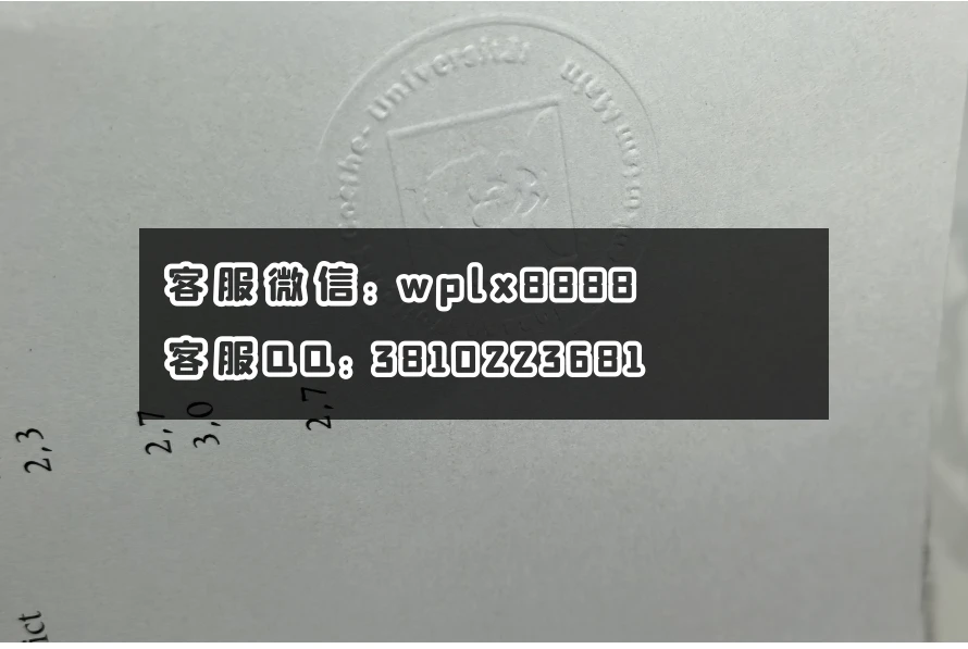 法兰克福大学钢印