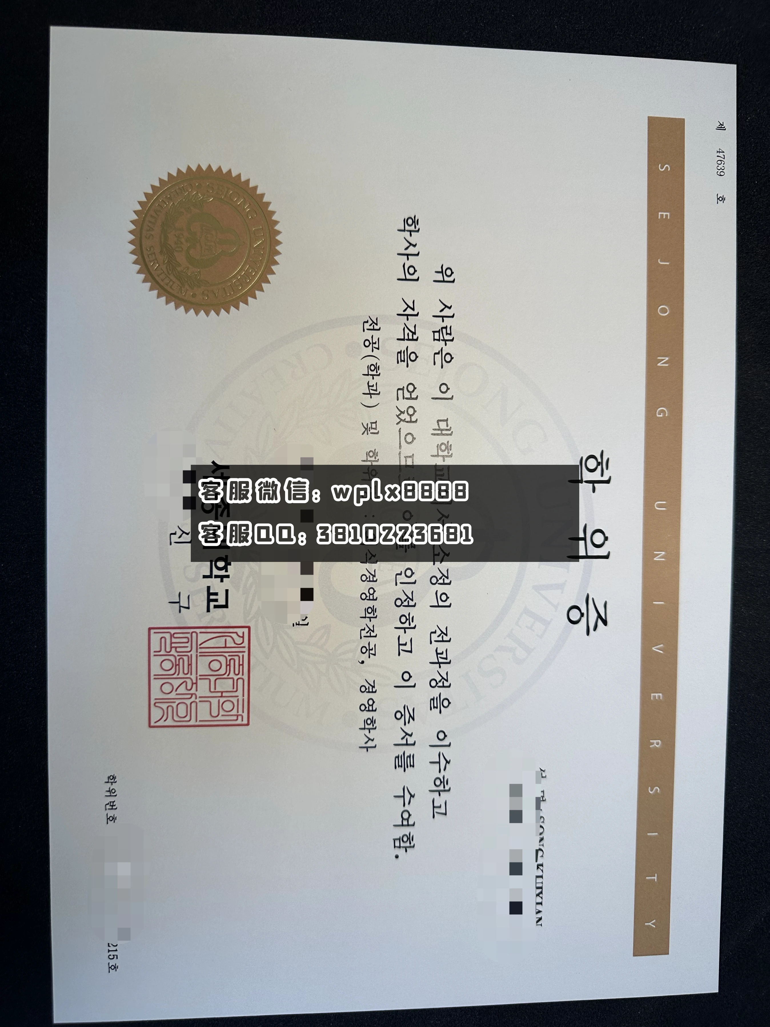 韩国失世宗大学本科C