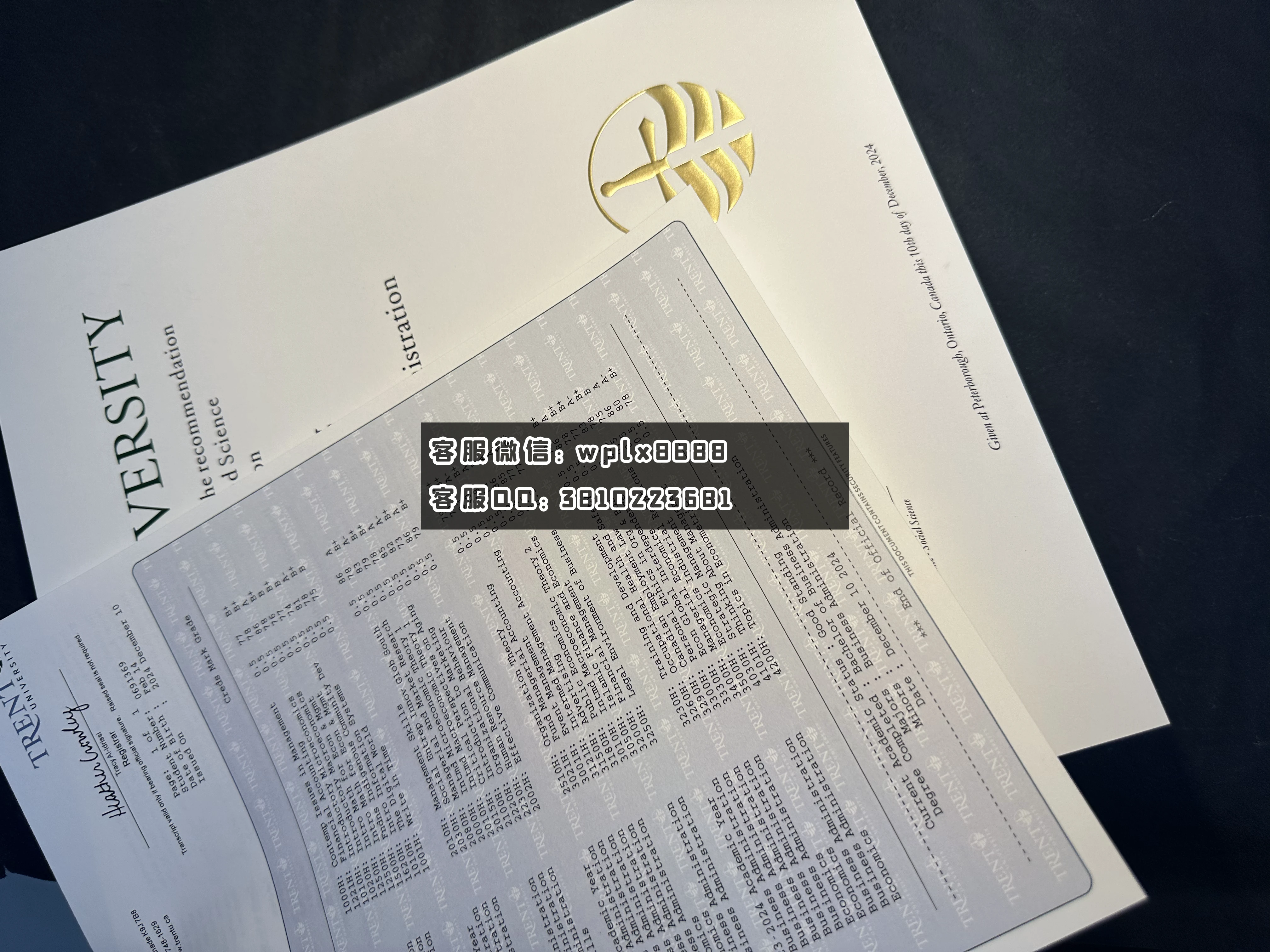 加拿大特伦特大学C