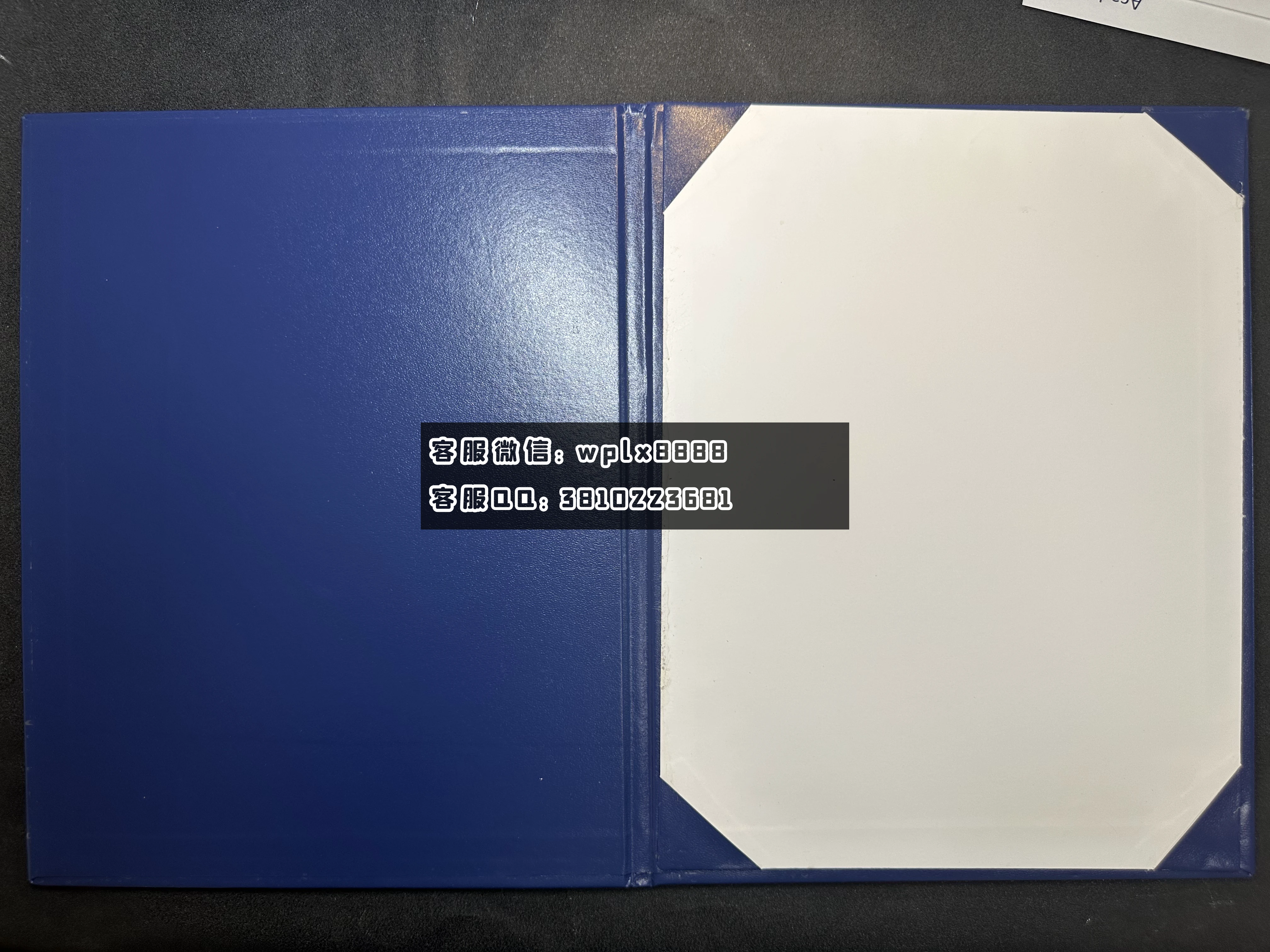 康涅狄格大学外壳 (2)