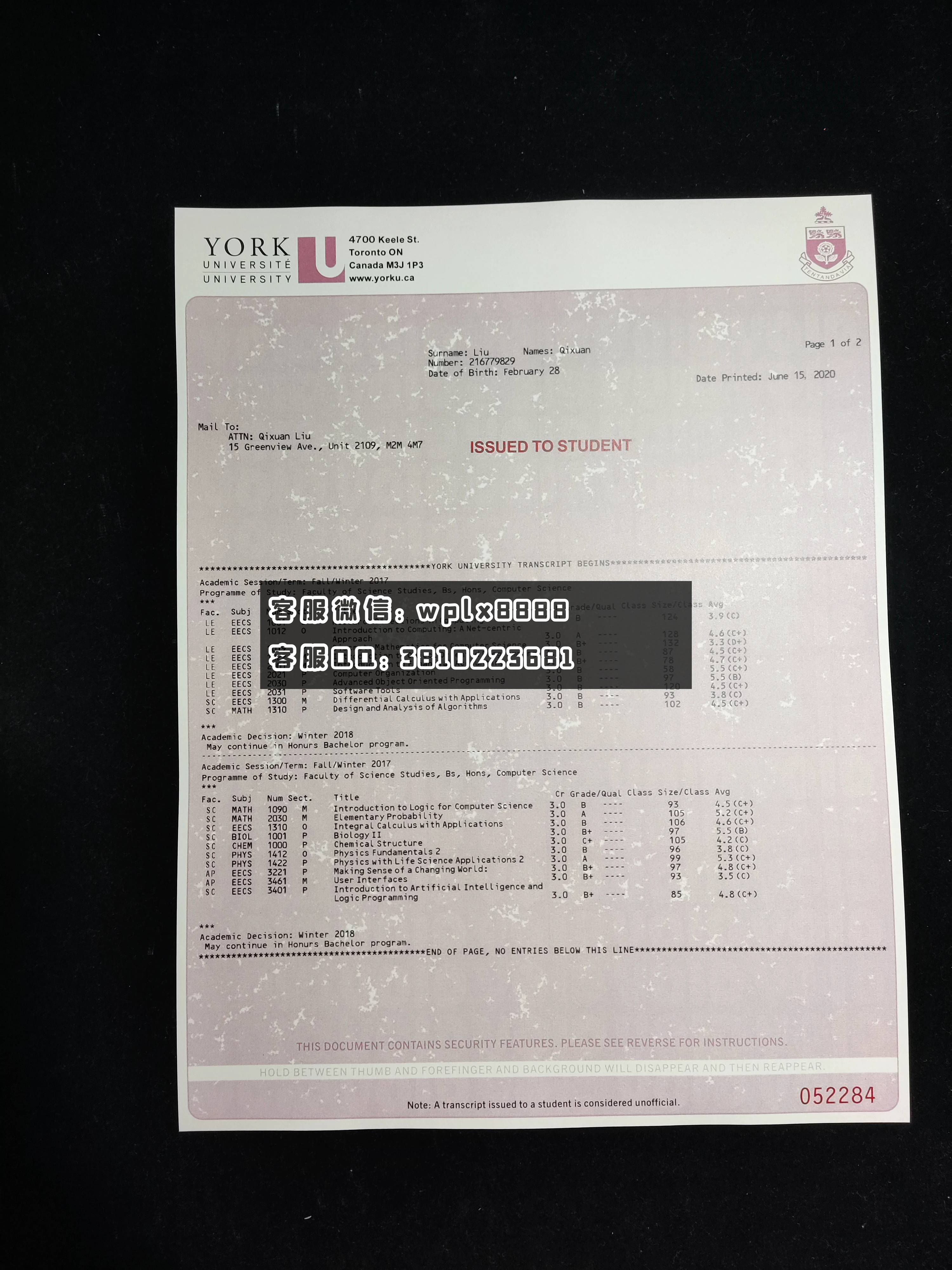 加拿大约克大学成绩单 成品1页